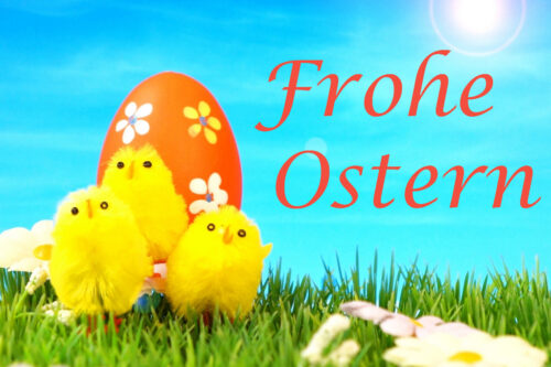 Frohe Ostern Küken Osterei