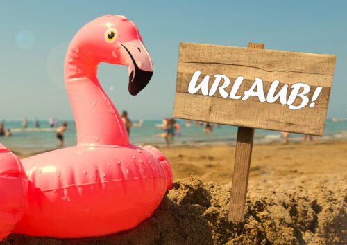 Urlaub Flamingo